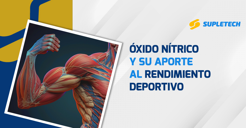 Como mejorar el rendimiento muscular