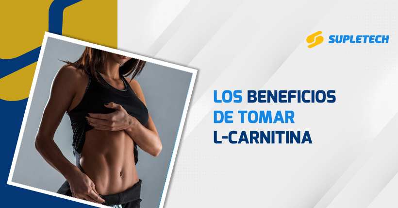 Qué es la L-Carnitina