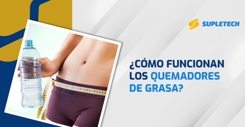 quemadores de grasa lipo6