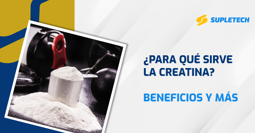 ¿para qué sirve la creatina? beneficios y más