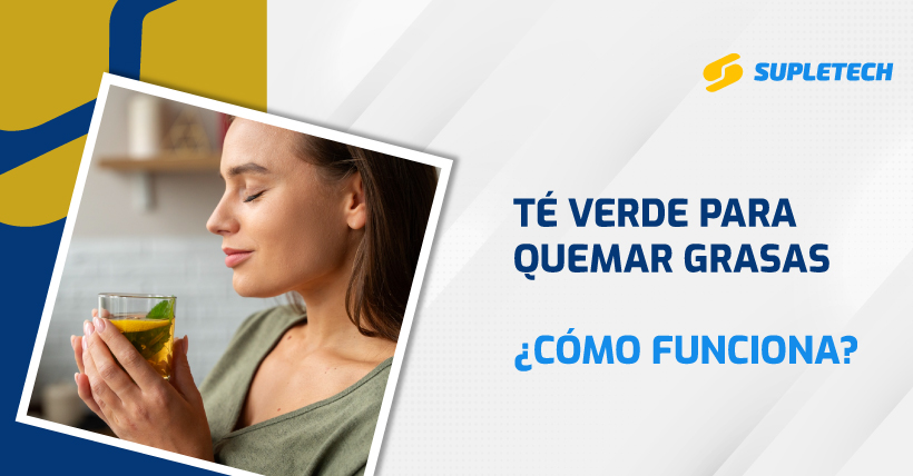 Té verde para quemar grasas ¿cómo funciona?