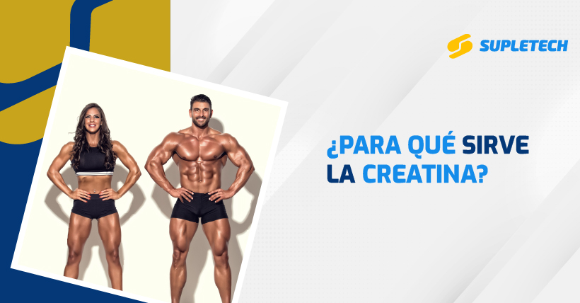 para que sirve la creatina