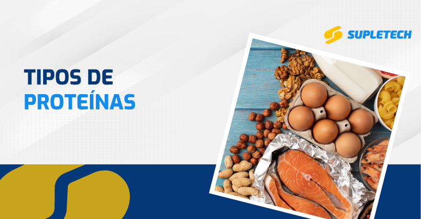 tipos de proteina