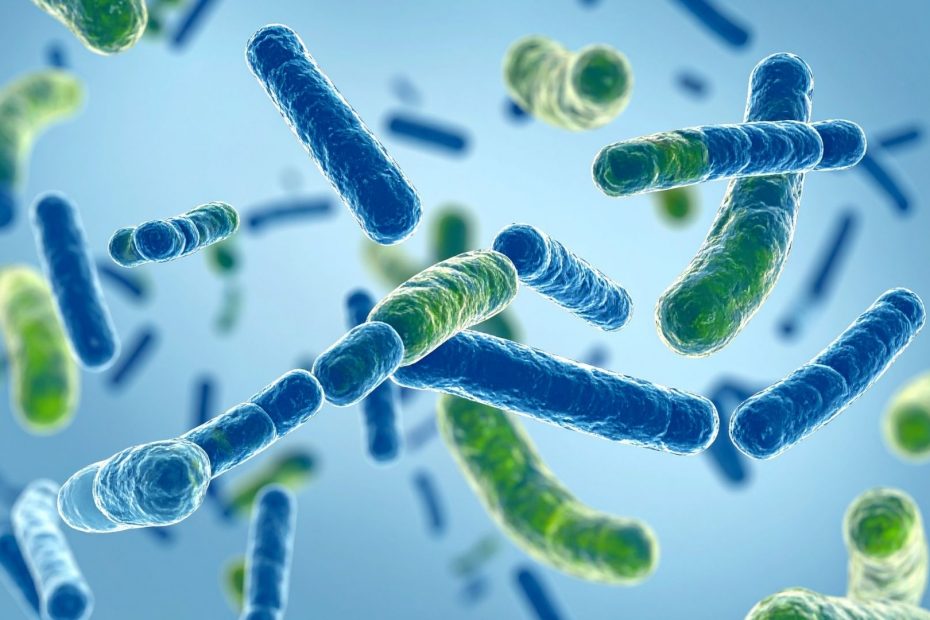 para que sirven los probioticos