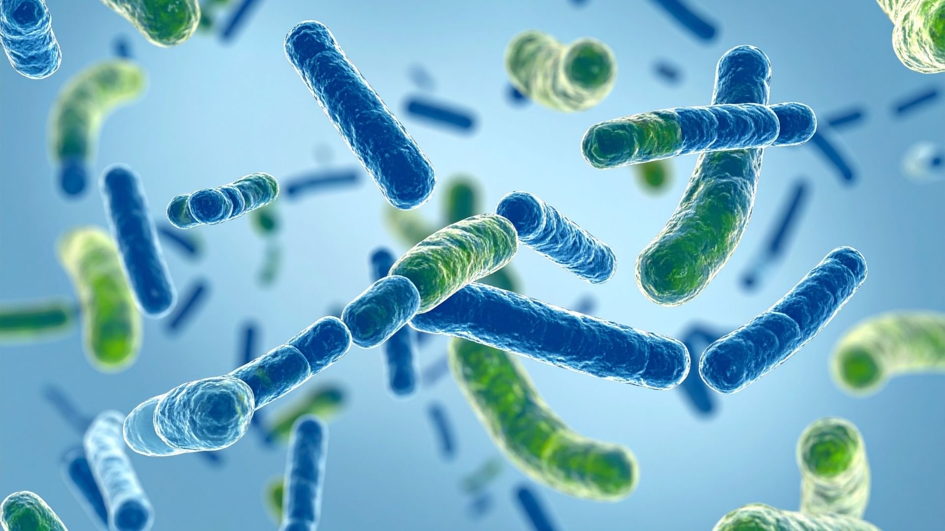 El rol de los probióticos y prebióticos en la salud intestinal